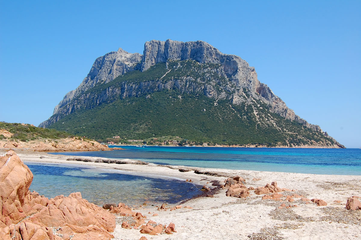 Tour n°2 : Tavolara and Molara Island Hotel Regina Elena